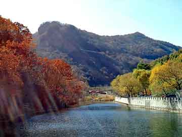 新澳天天开奖资料大全旅游团，都市重生类小说